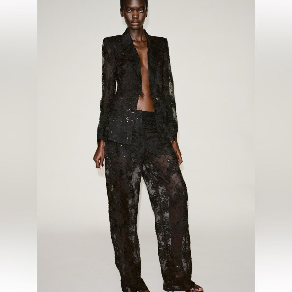 Zara structured sequin semi sheer pants